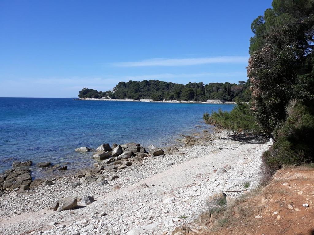 Seaview Apartment Ρόβινι Εξωτερικό φωτογραφία